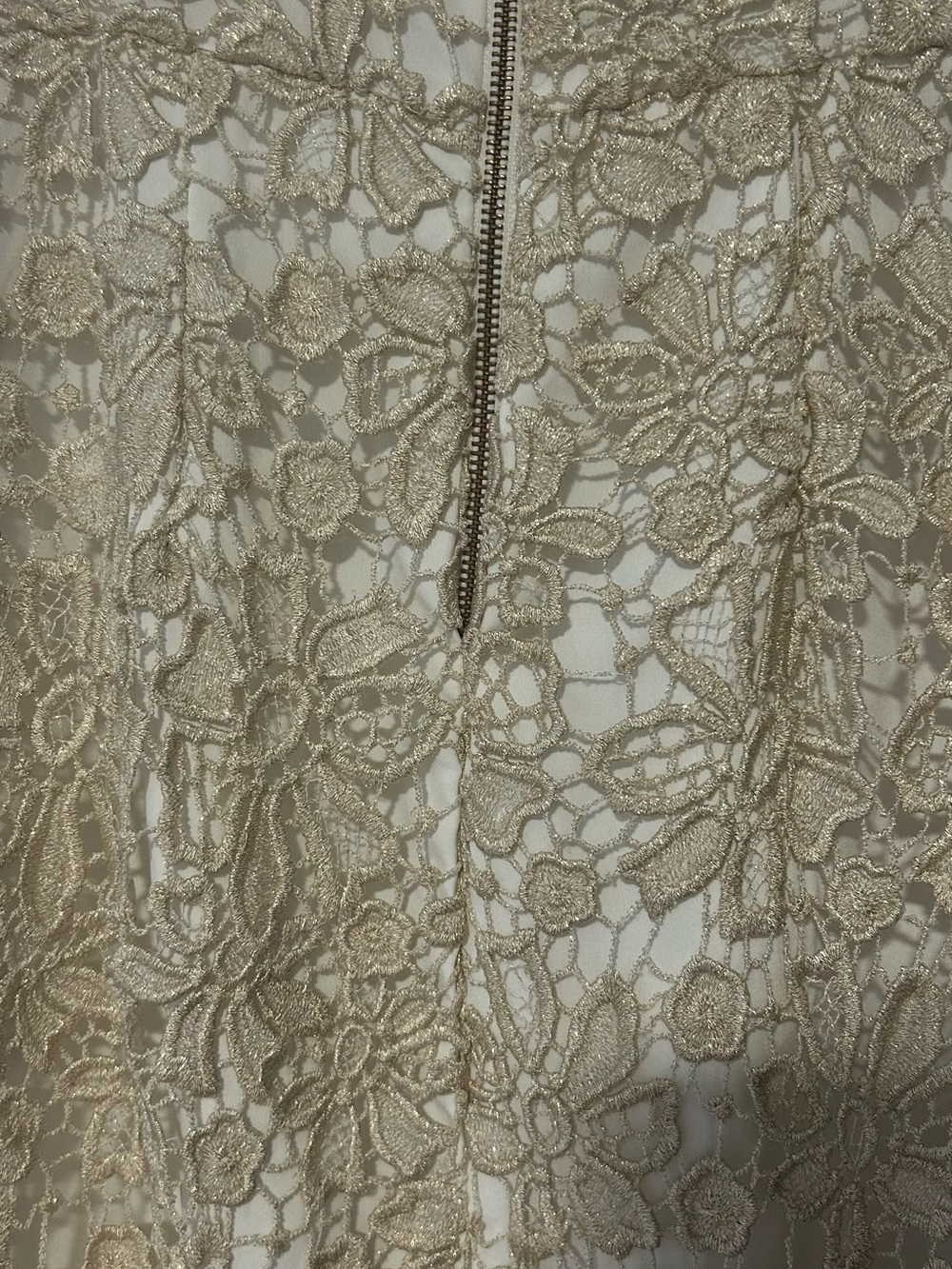 Sleeveless Ivory Dress with Gold Lace Overlay - Picture 4 of 4